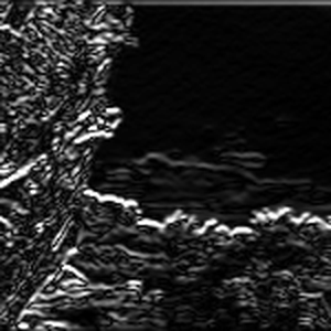 Horizontal edge response: bright along the tree line and cloud bottoms